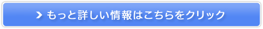 {IICvO~OmySamuraiz̔TCg